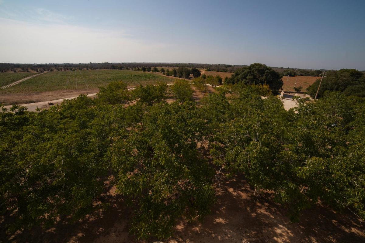 Masseria Lilei - Puglia, Salento