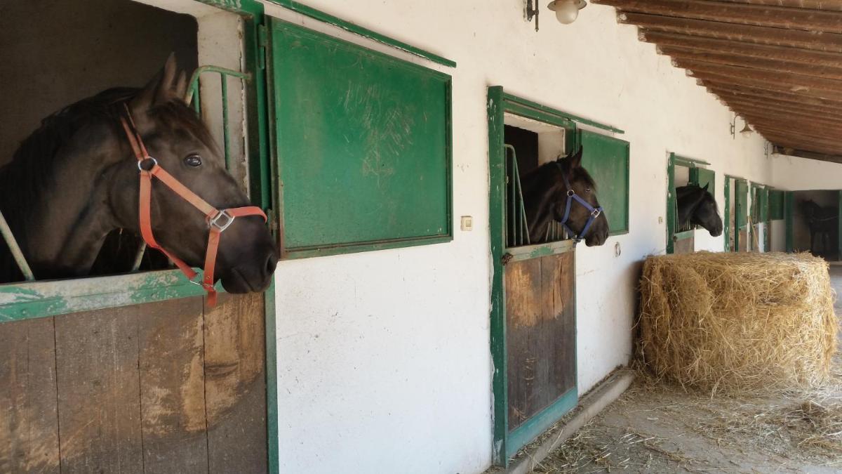 Masseria Luco