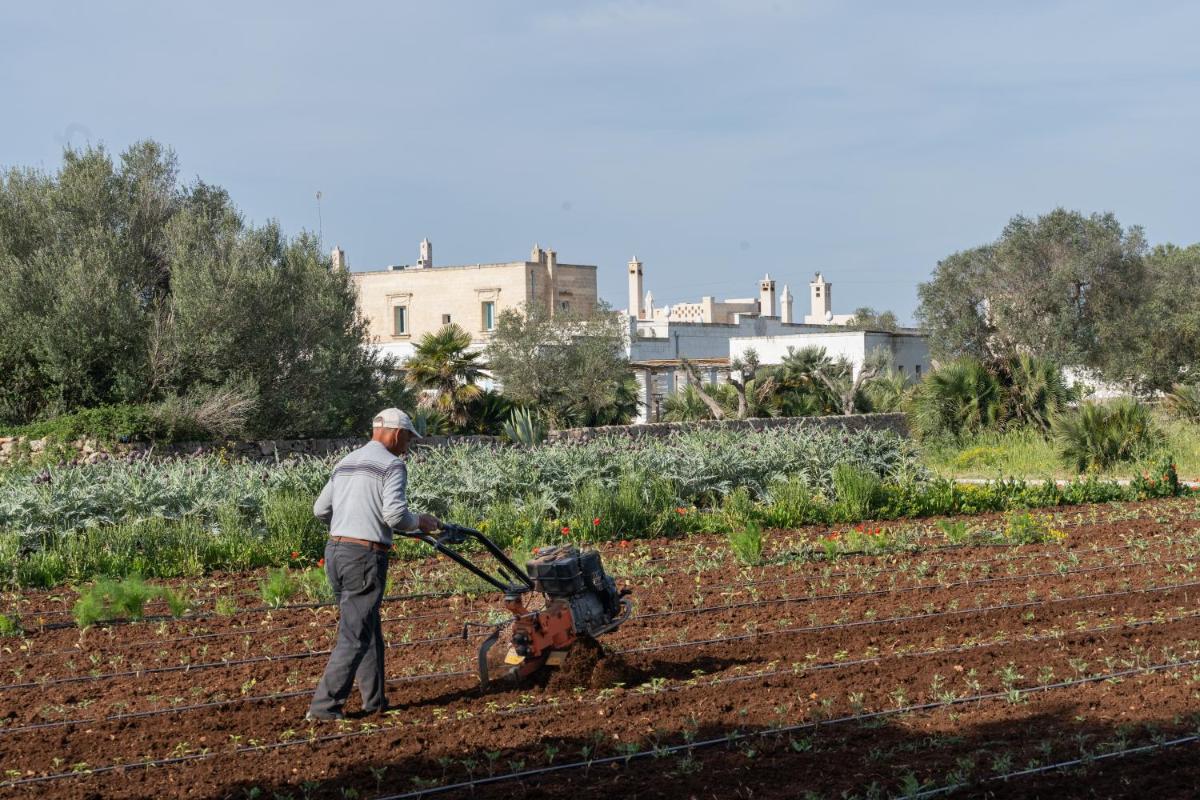Masseria Palombara Relais & SPA - Adults only