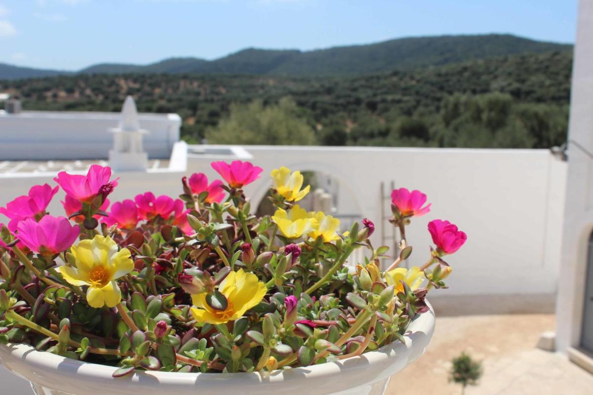 Masseria Parco della Grava