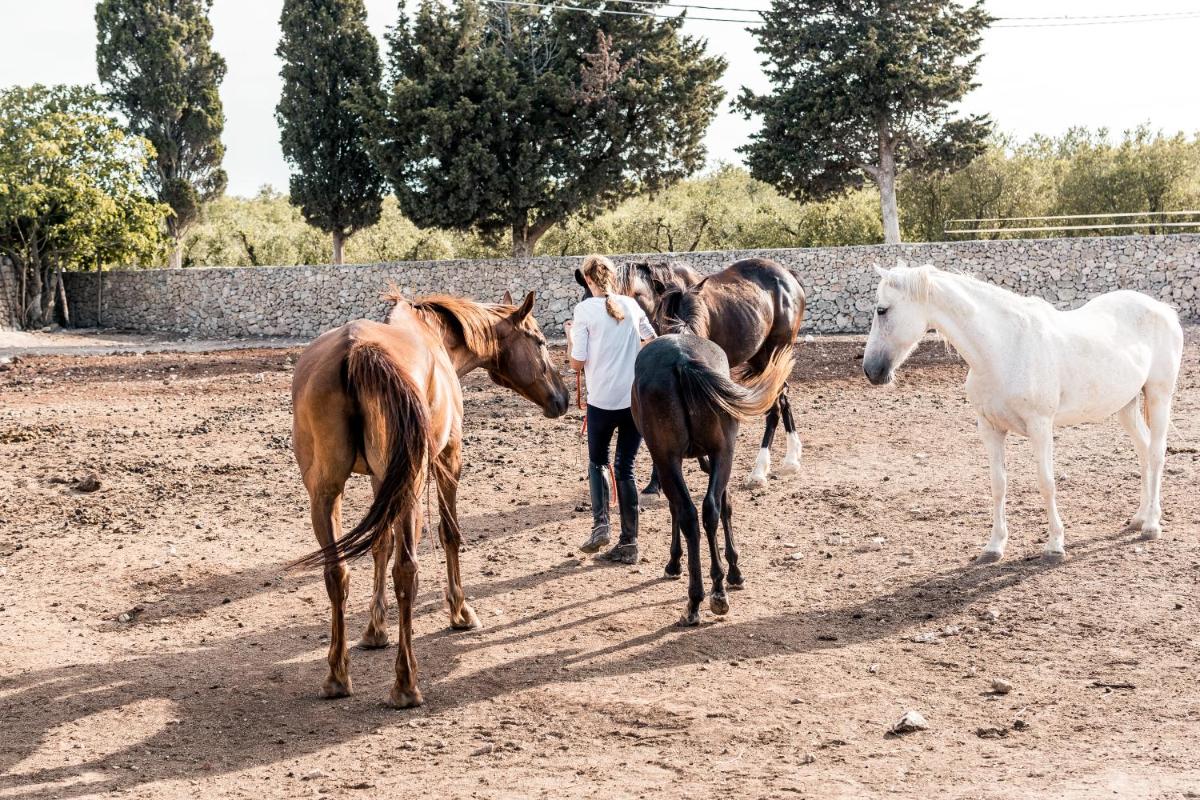 Masseria Prosperi