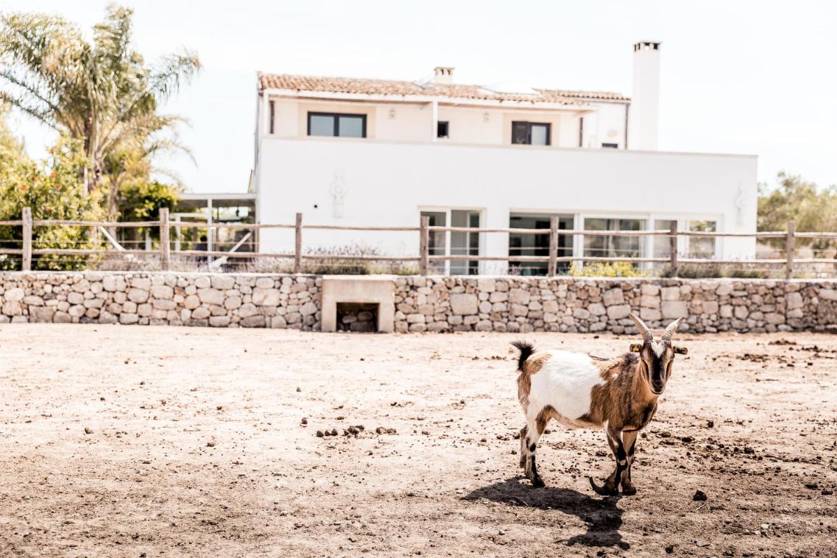 Masseria Prosperi