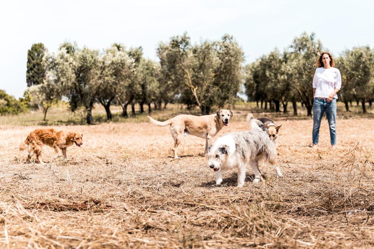 Masseria Prosperi