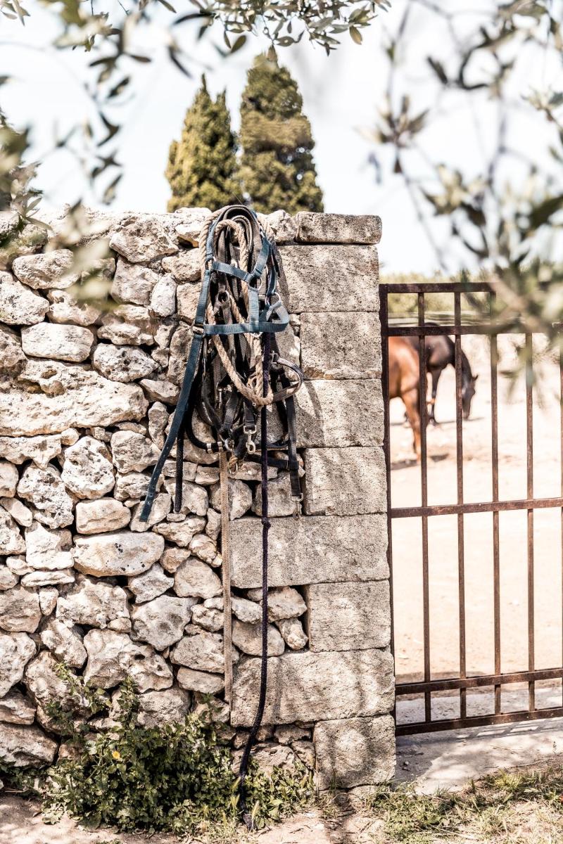 Masseria Prosperi