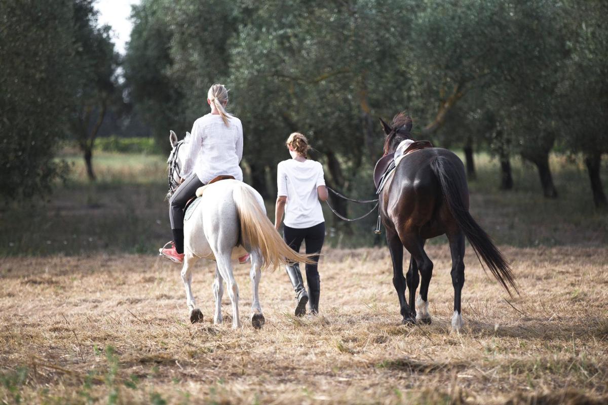 Masseria Prosperi
