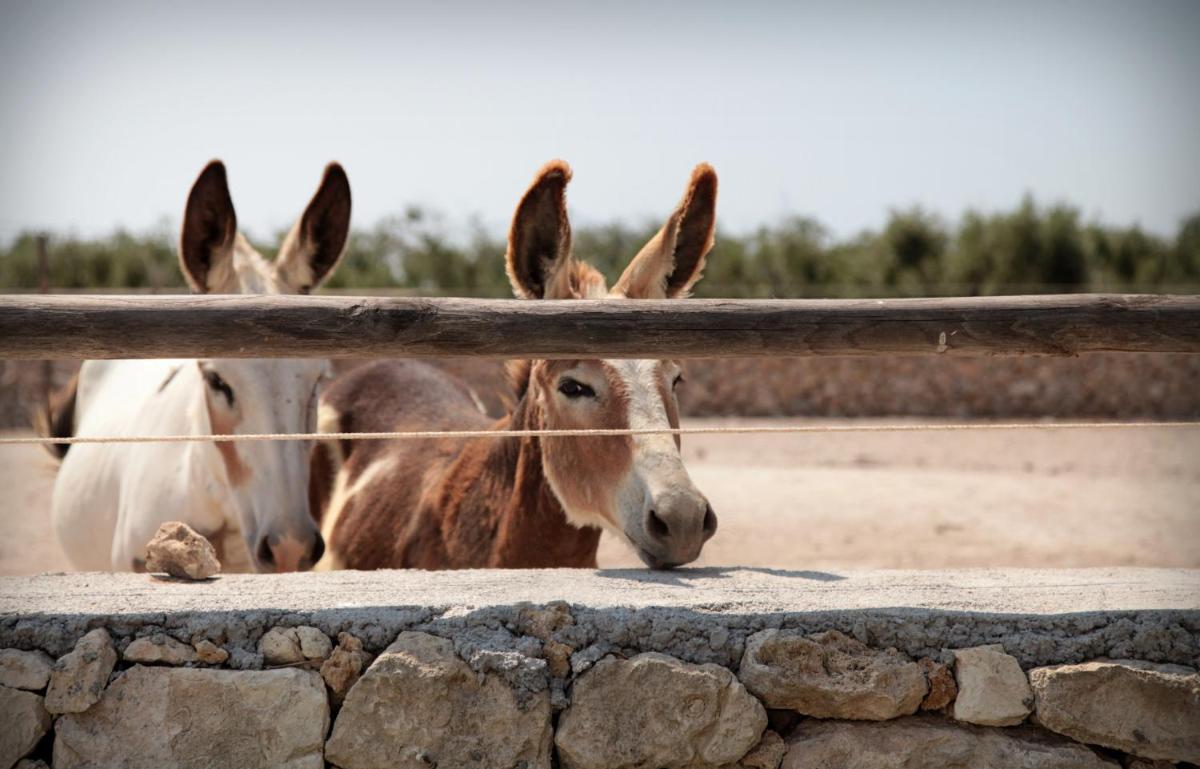 Masseria Prosperi