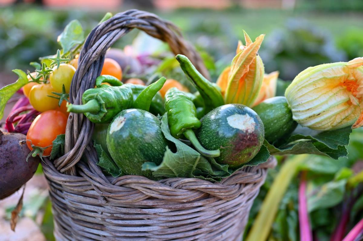 Masseria San Lorenzo Resort