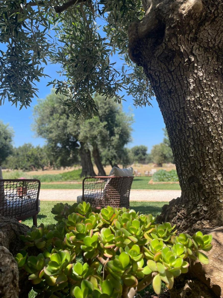 Masseria San Lorenzo Resort