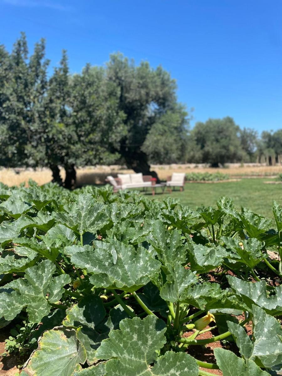 Masseria San Lorenzo Resort