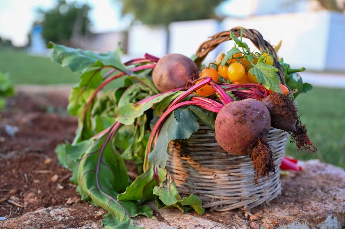 Masseria San Lorenzo Resort