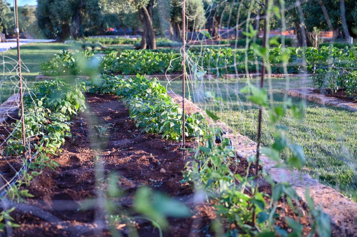 Masseria San Lorenzo Resort