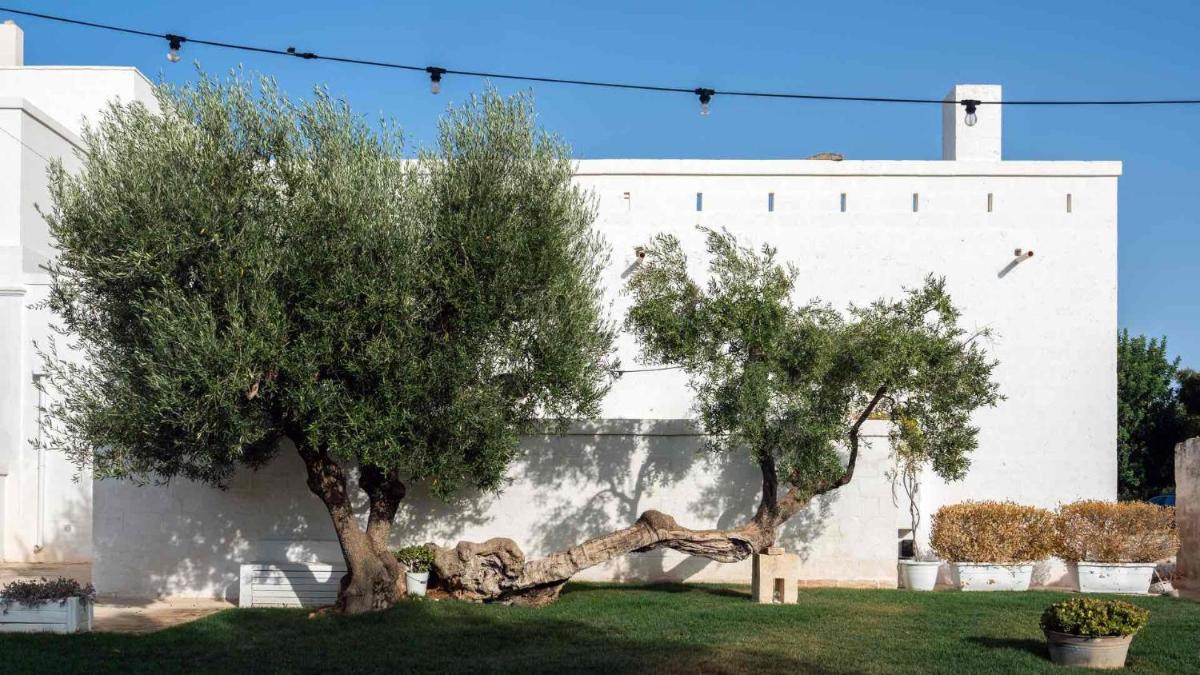 Masseria San Lorenzo Resort