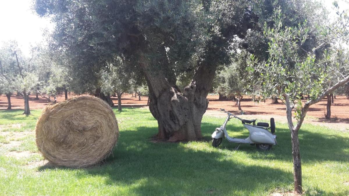 Masseria San Martino