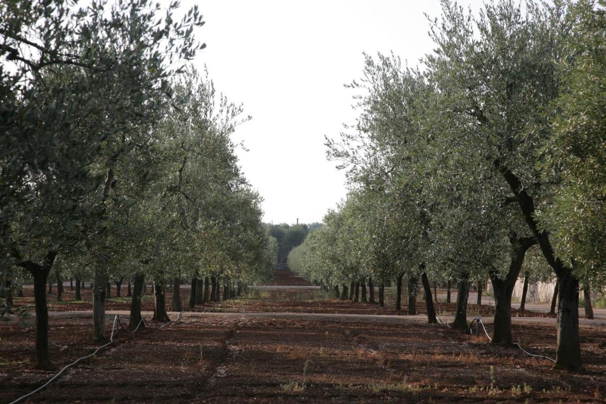 Masseria San Martino
