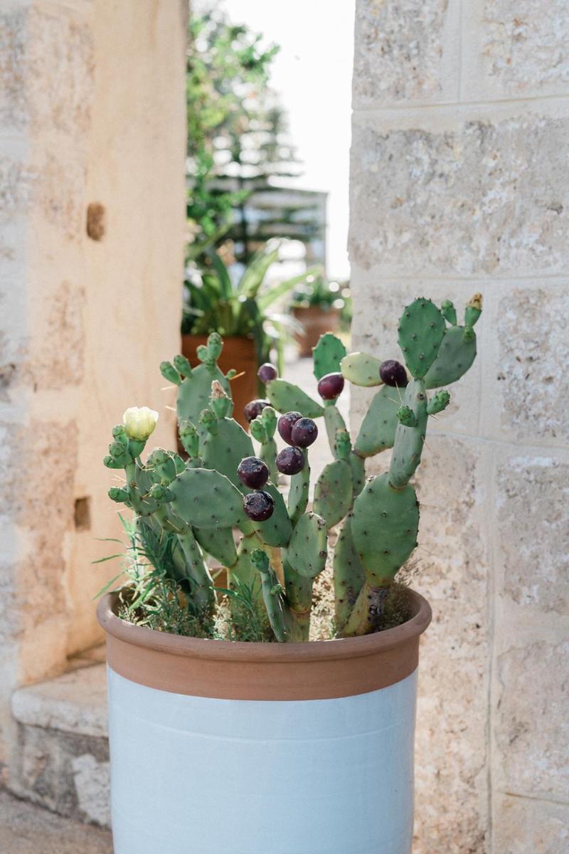 Masseria San Martino