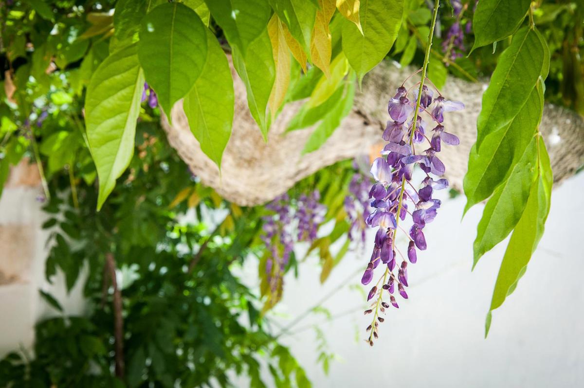 Masseria San Michele