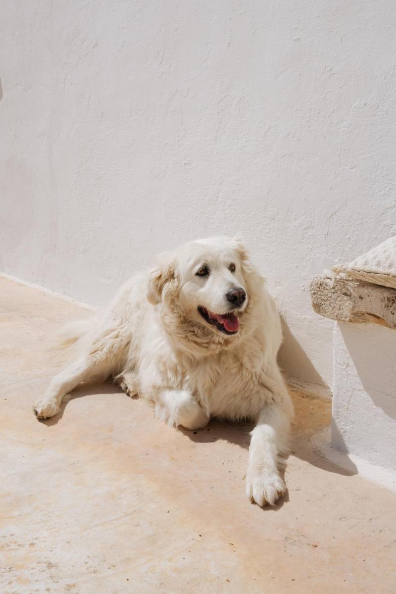 Masseria San Michele