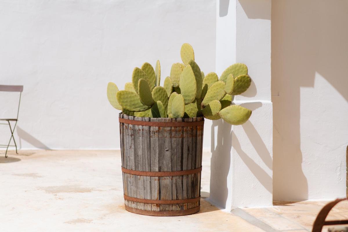 Masseria San Michele