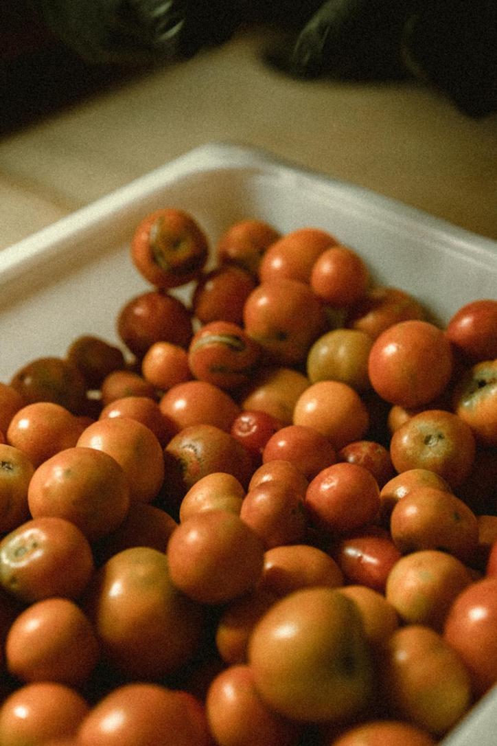 Masseria San Paolo Grande