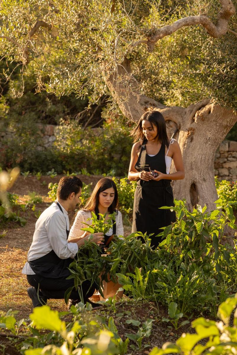 Masseria San Paolo Grande