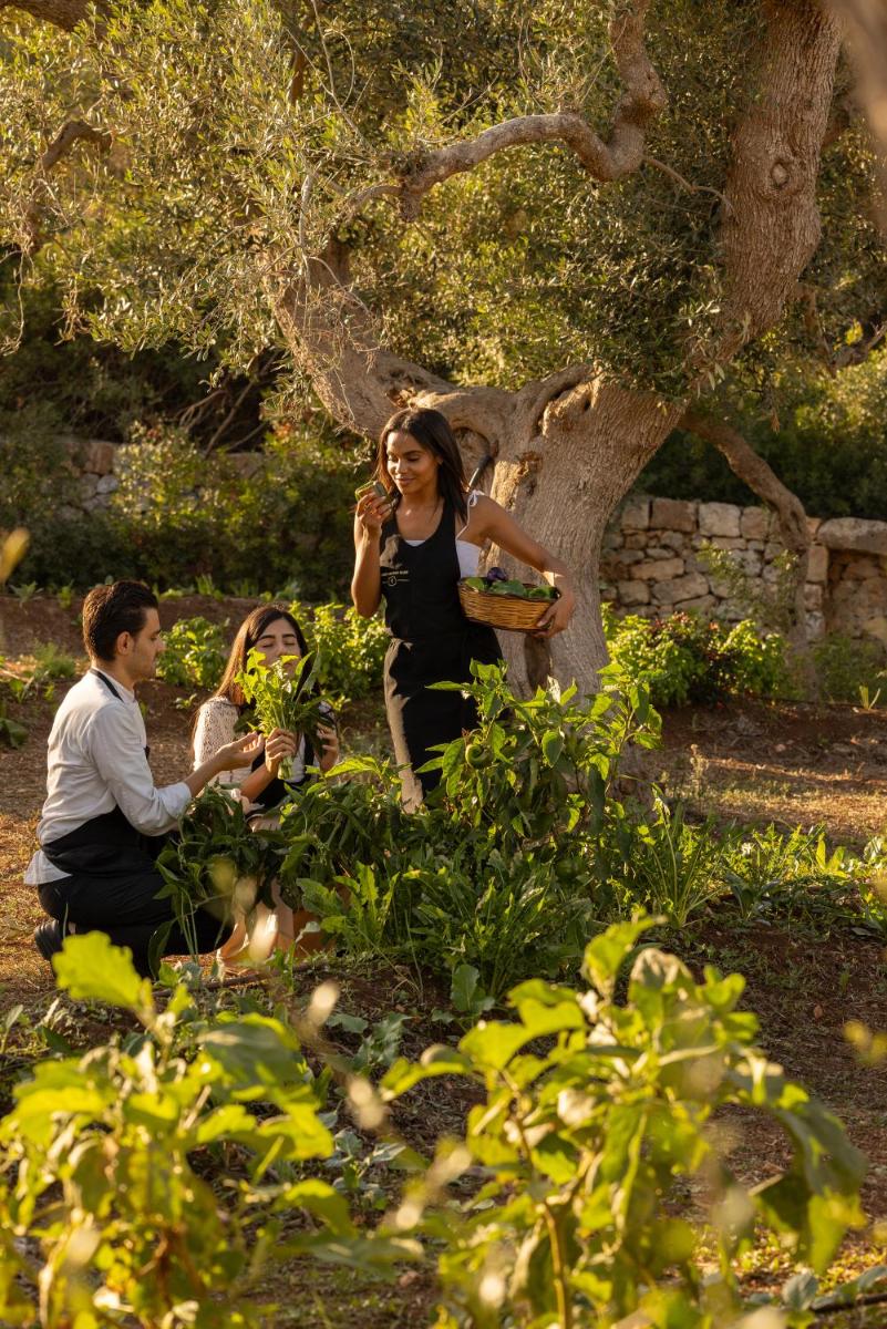 Masseria San Paolo Grande