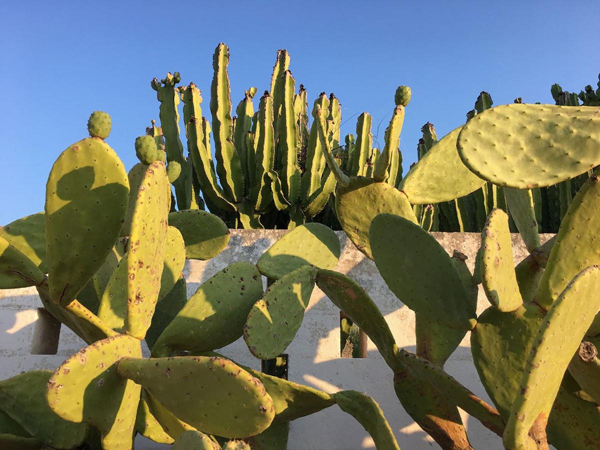 Boutique Hotel Masseria Sottomasi