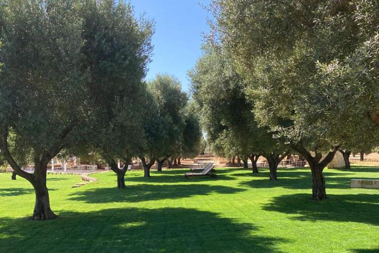 Boutique Hotel Masseria Sottomasi