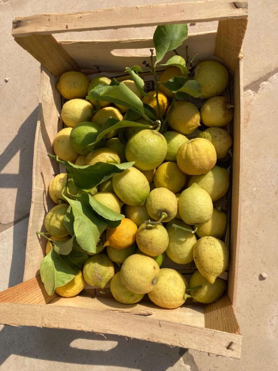 Boutique Hotel Masseria Sottomasi