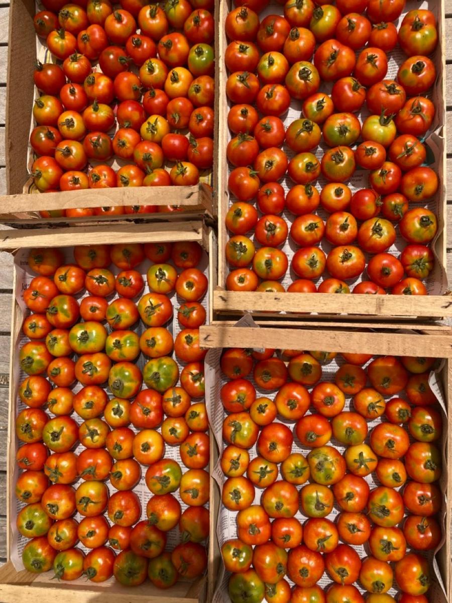 Boutique Hotel Masseria Sottomasi