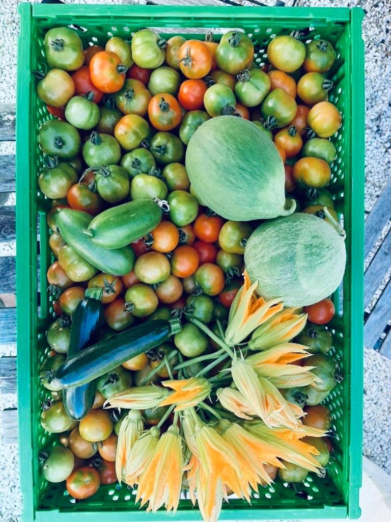 Boutique Hotel Masseria Sottomasi