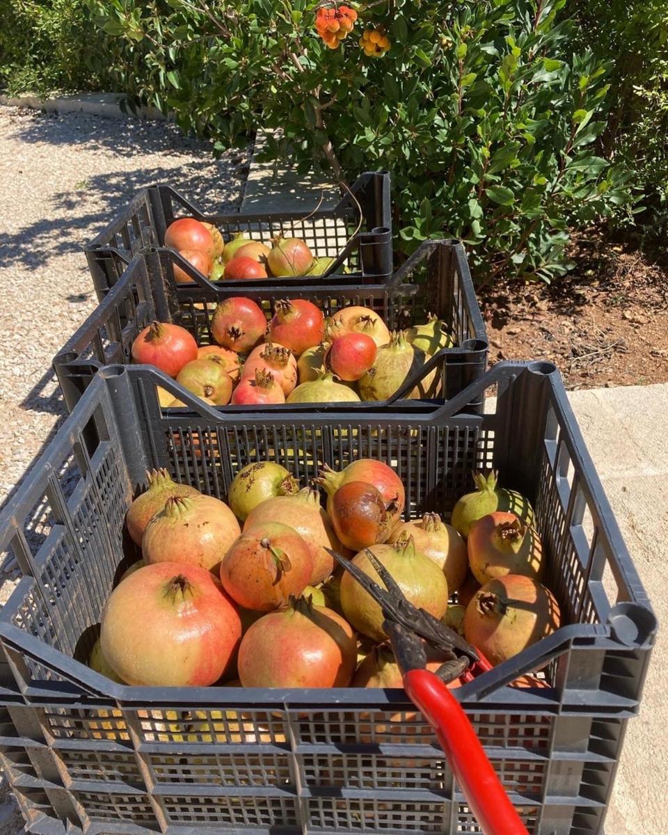 Boutique Hotel Masseria Sottomasi