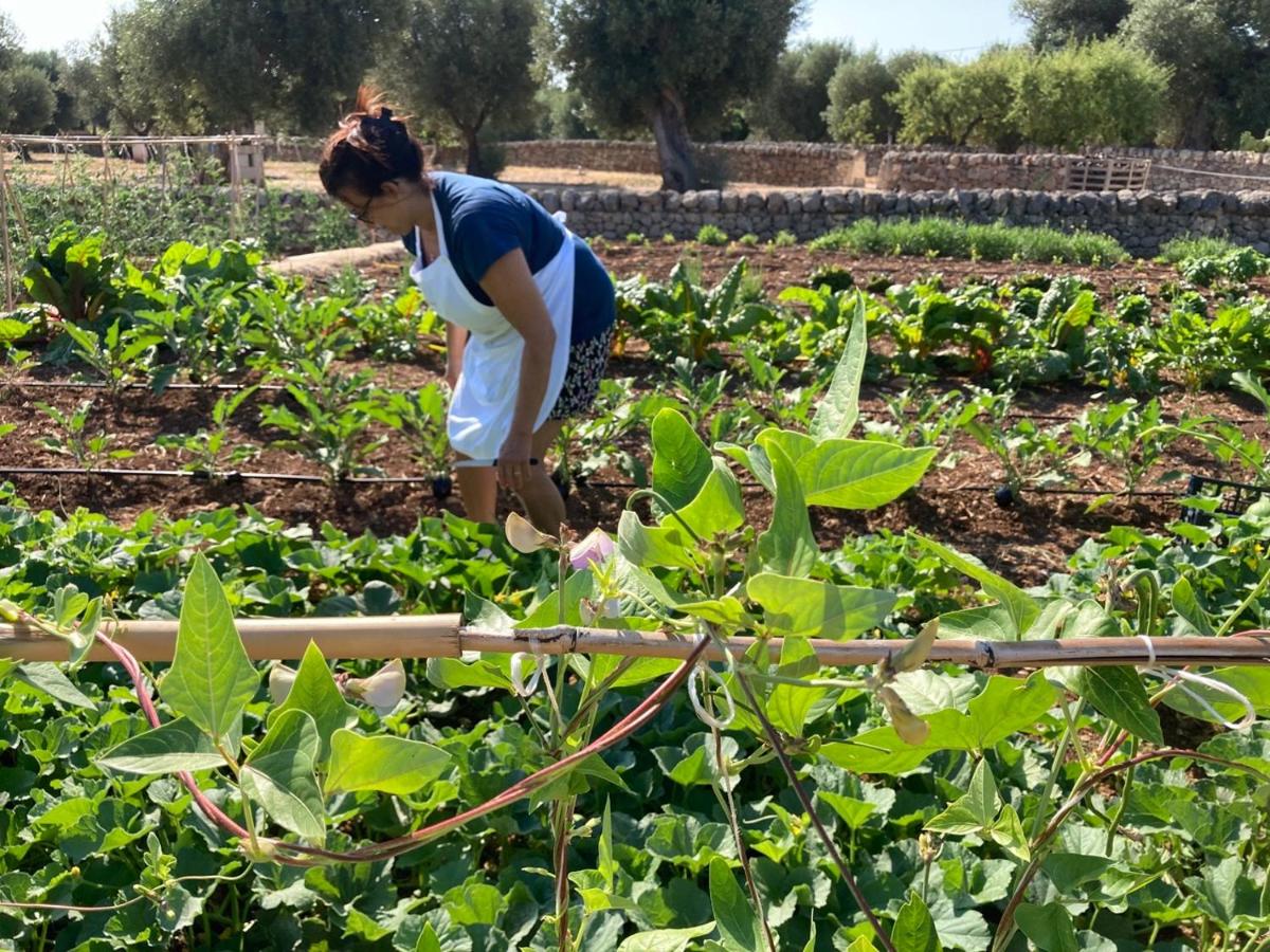 Boutique Hotel Masseria Sottomasi
