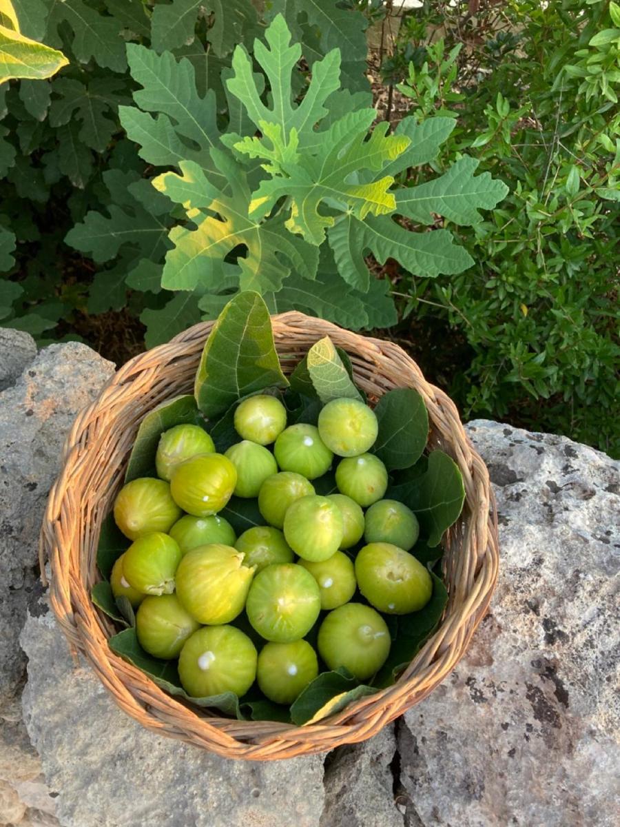 Boutique Hotel Masseria Sottomasi