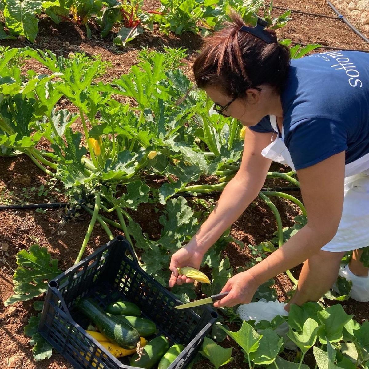 Boutique Hotel Masseria Sottomasi
