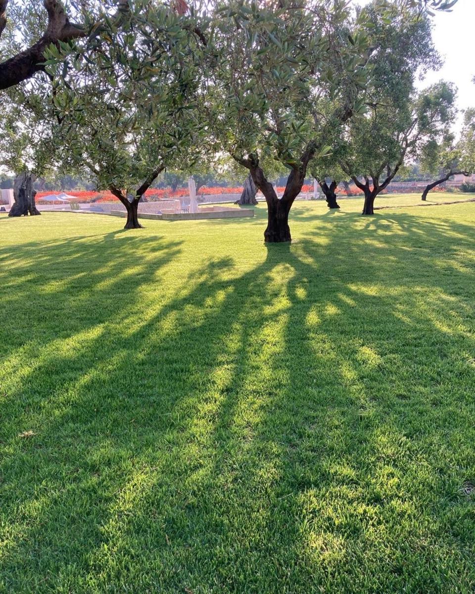 Boutique Hotel Masseria Sottomasi