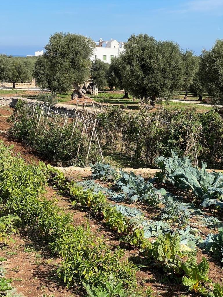 Boutique Hotel Masseria Sottomasi