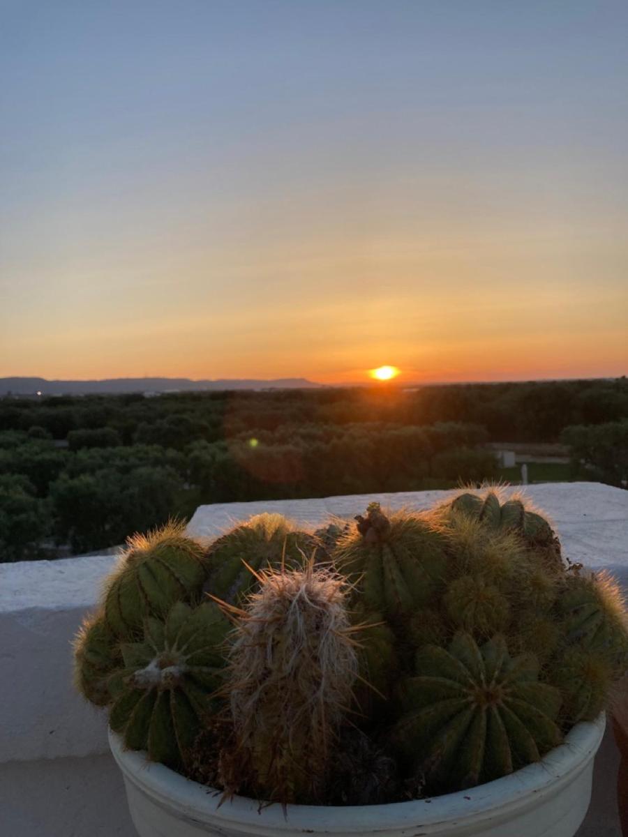 Boutique Hotel Masseria Sottomasi