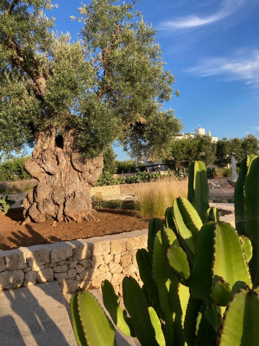 Boutique Hotel Masseria Sottomasi