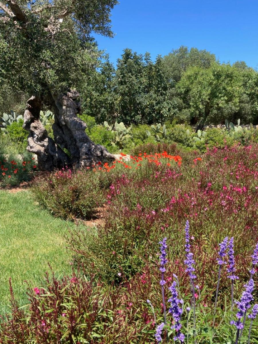 Boutique Hotel Masseria Sottomasi