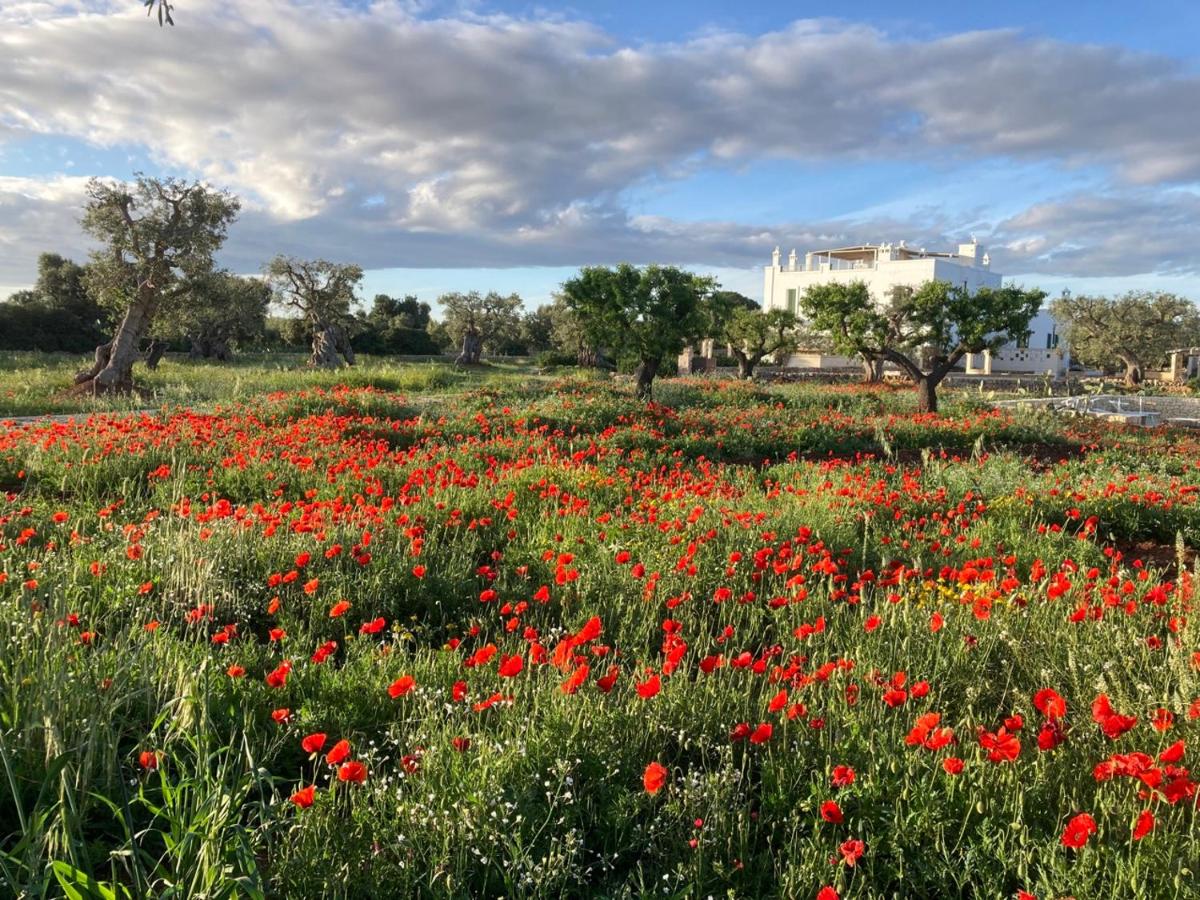Boutique Hotel Masseria Sottomasi