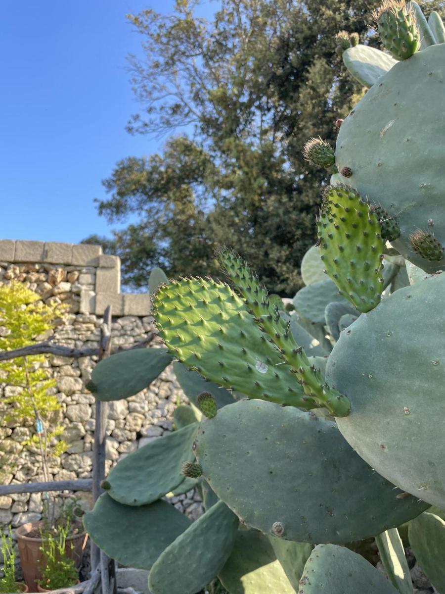 Masseria Spartivento