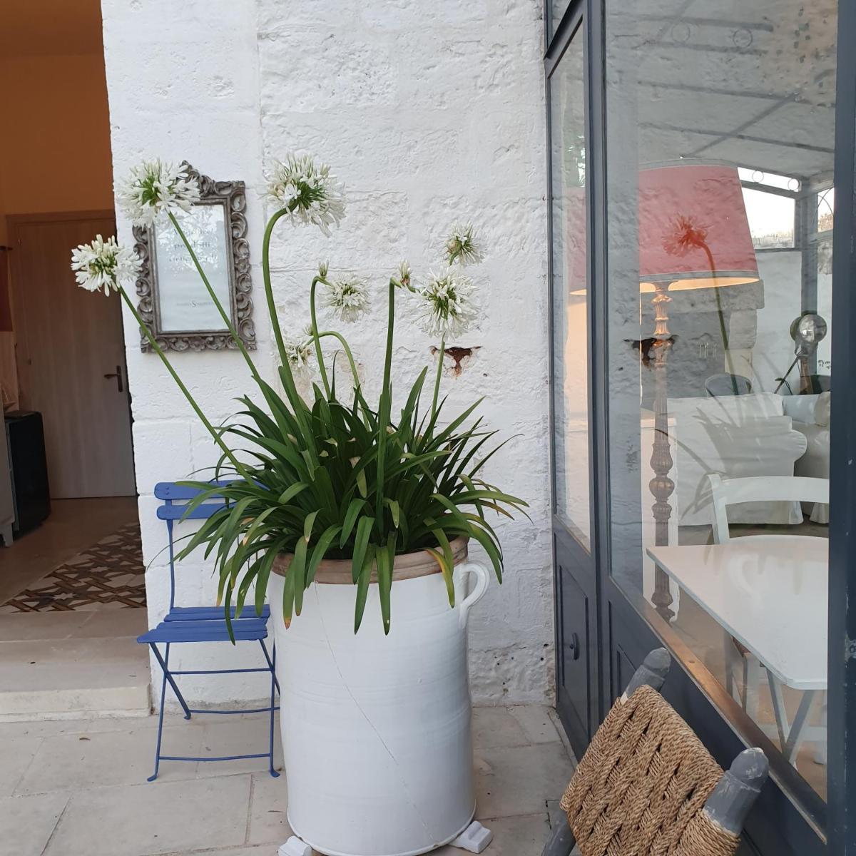 Masseria Spartivento