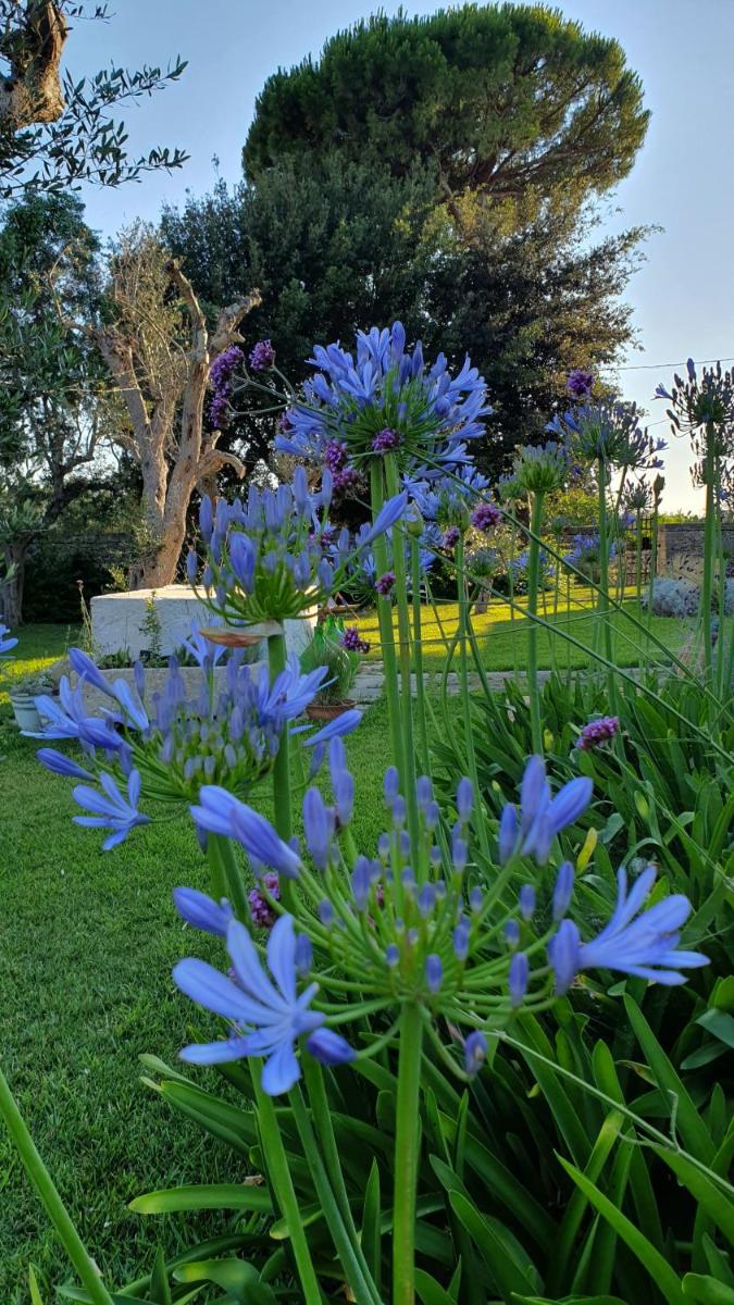 Masseria Spartivento