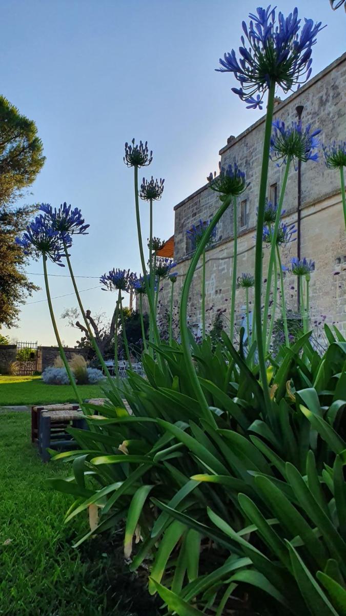 Masseria Spartivento