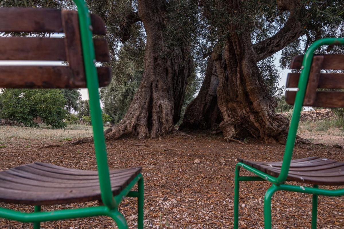 Masseria Torrelonga