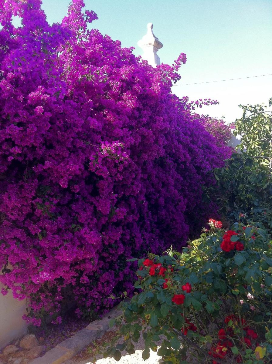 Masseria Torremossa