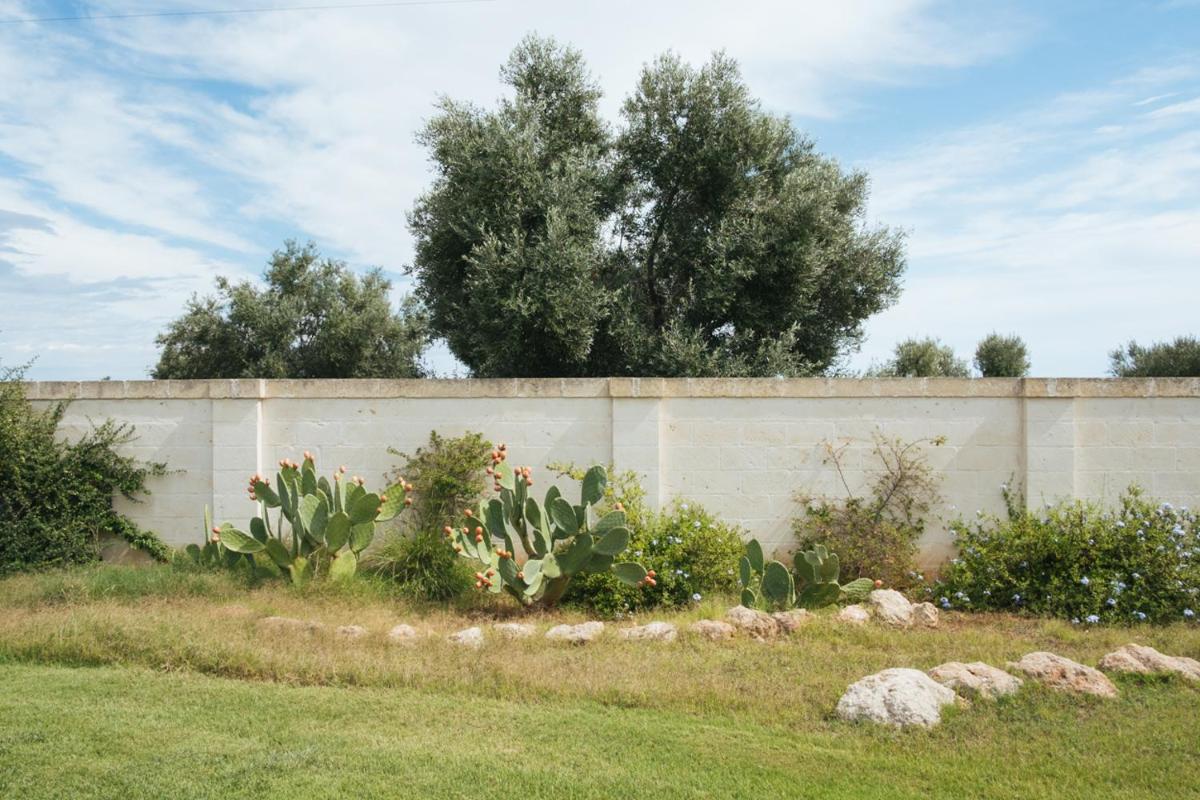 Masseria Torremossa