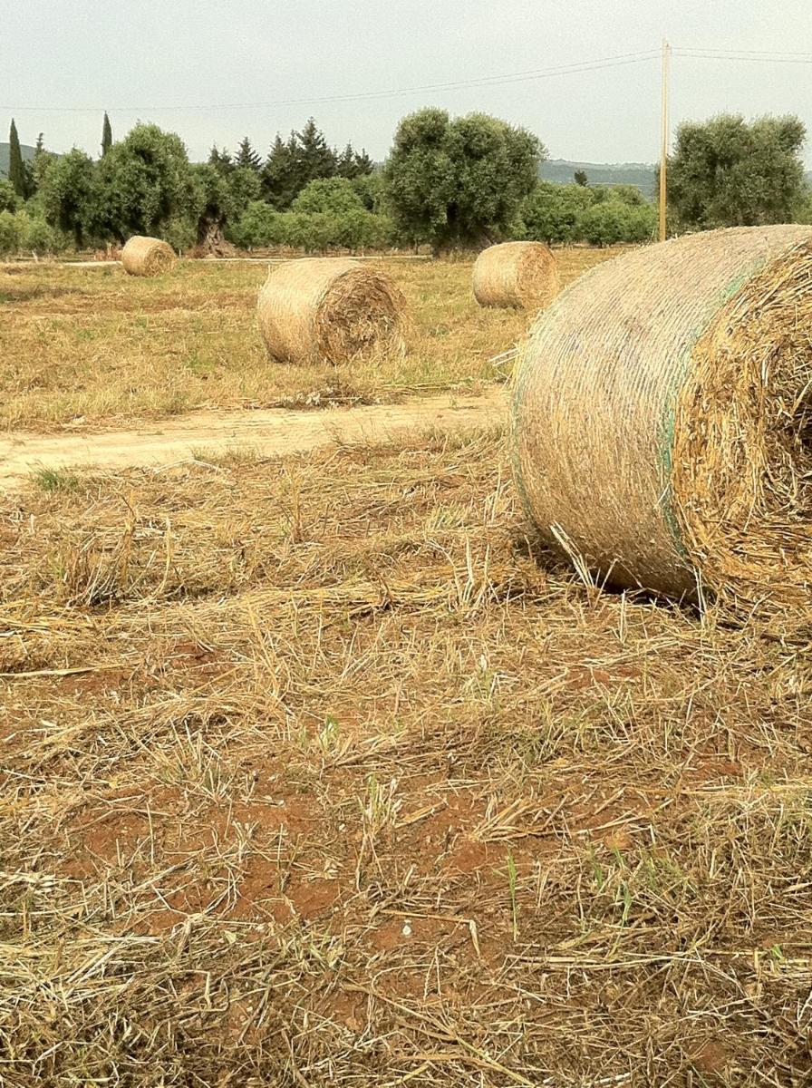 Masseria Torremossa