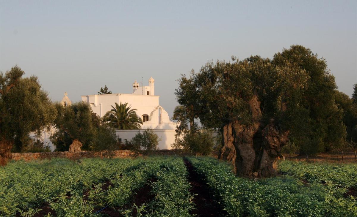 Masseria Torremossa