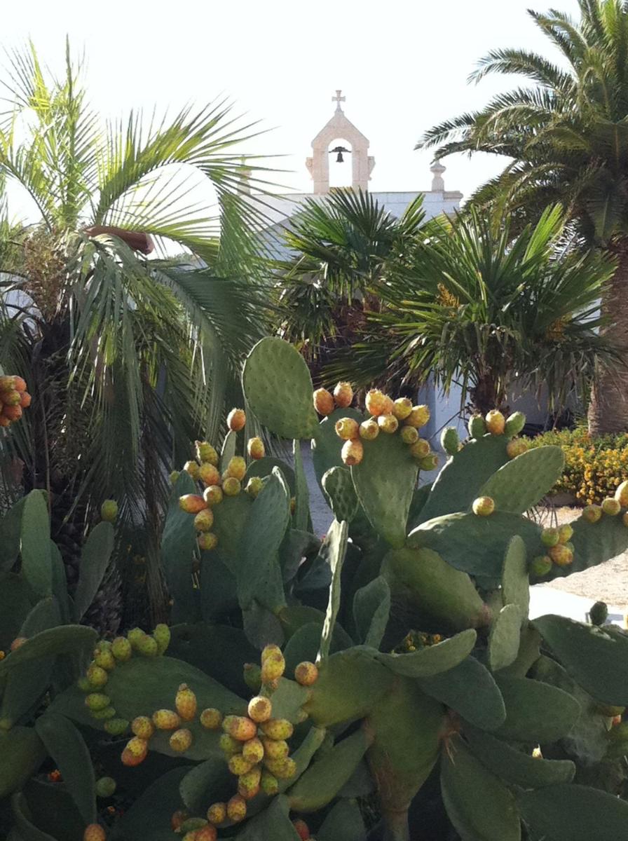 Masseria Torremossa